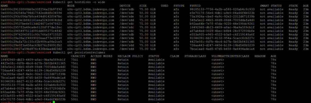 HostDisk Configuration Verification