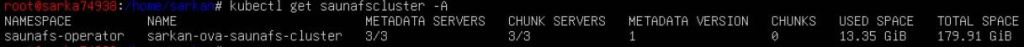 Persistent storage check